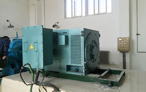 Y400-2某水电站工程主水泵使用我公司高压电机